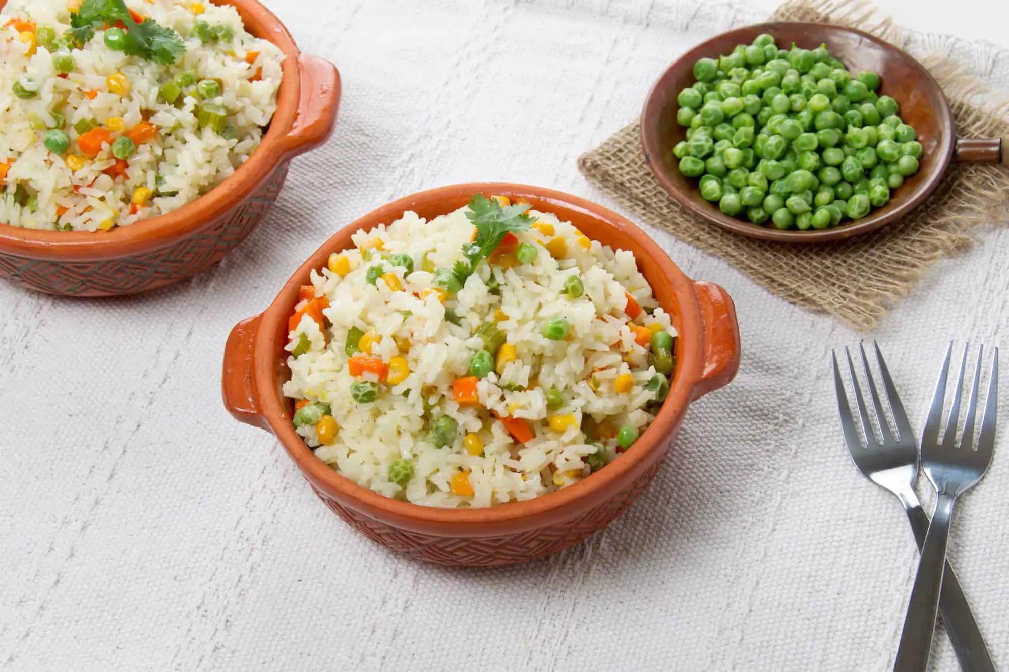 receta de arroz con verduras - plato final 2