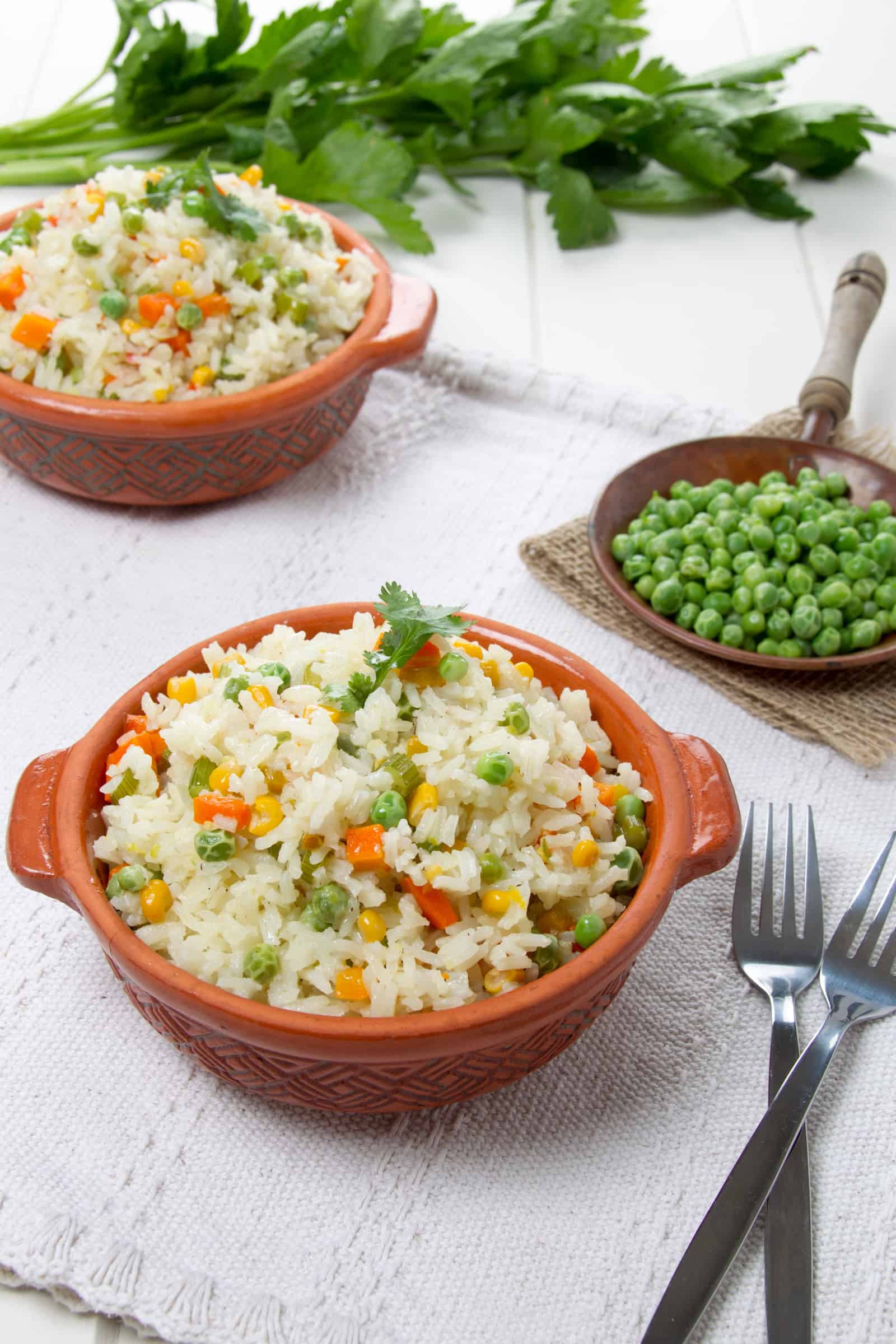 receta de arroz con verduras - plato final 3