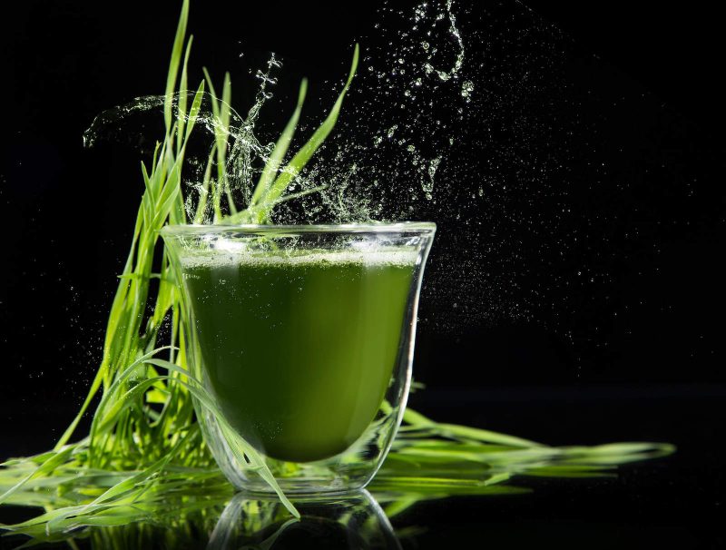 Chlorella Propiedades, beneficios y contraindicaciones