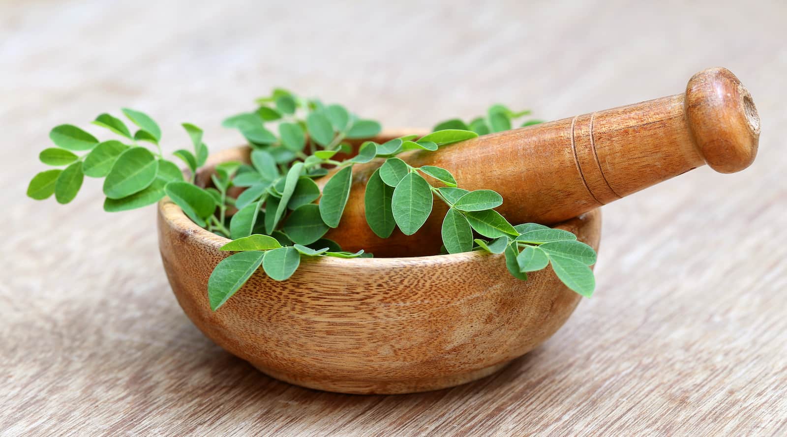 moringa en mortero