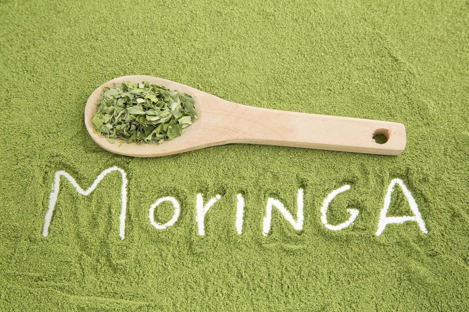 moringa en polvo