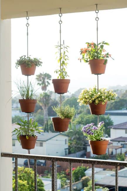 Lleva la mirada hacia arriba con plantas colgantes