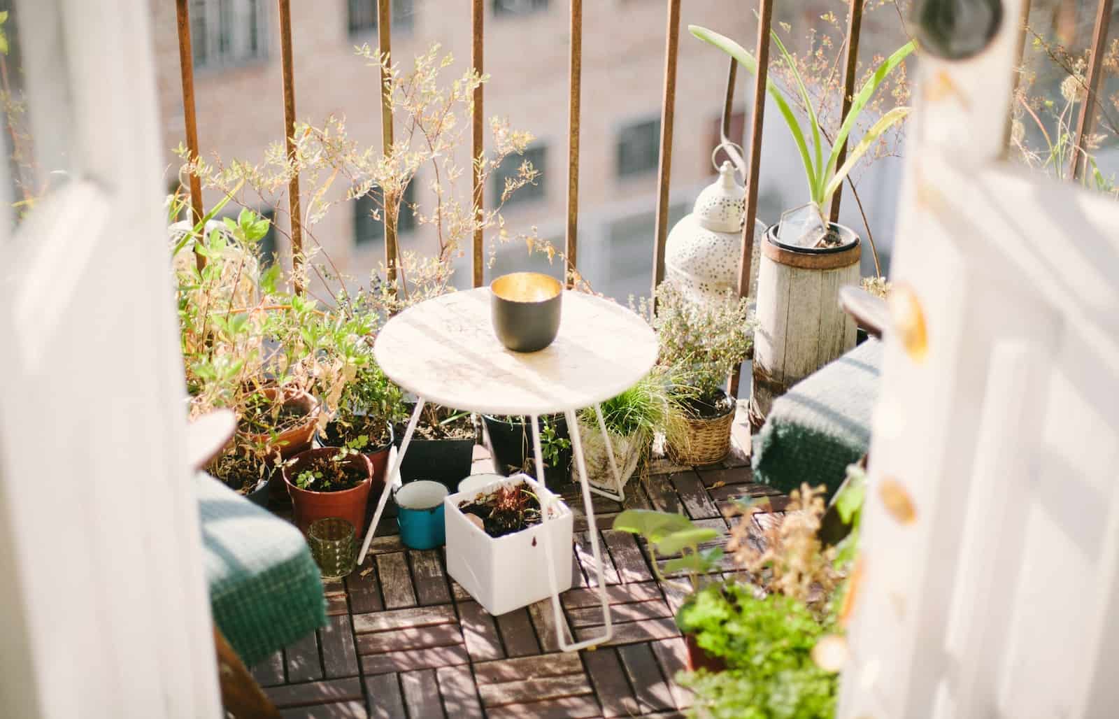 perder Ocurrir Cargado 8 Ideas para decorar una terraza (o balcón) con plantas