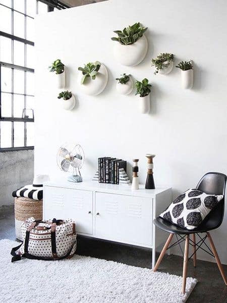 Crea un jardín vertical