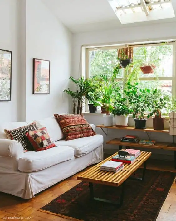 Enmarca la ventana con plantas