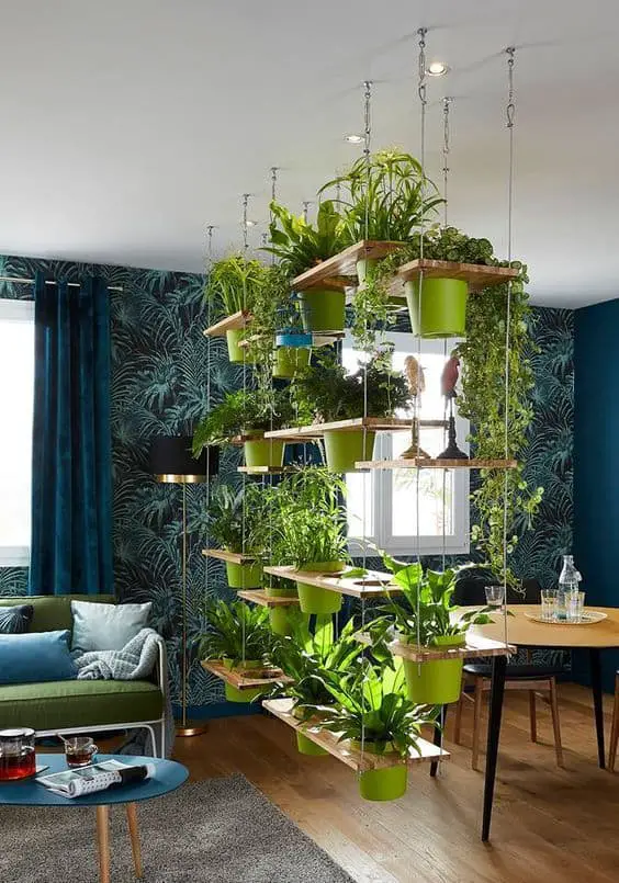 Separa espacios con plantas colgantes