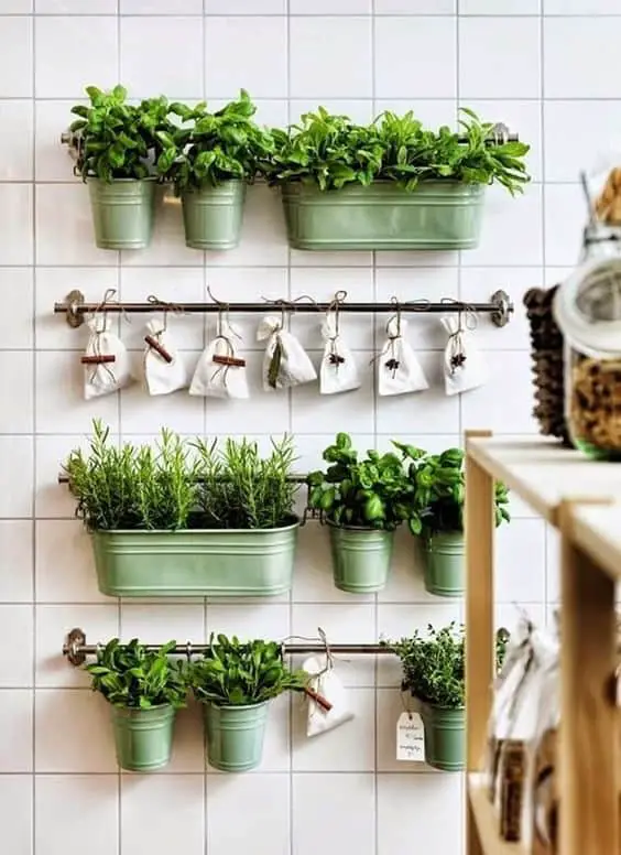 Planta un pequeño huerto de especias en tu cocina