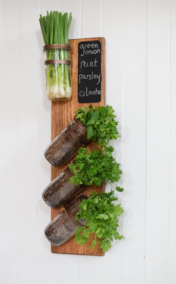 Crea un jardín vertical aromático en la cocina