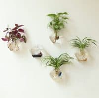 Cómo Hacer un Jardín Vertical Interior — [18 Ideas]