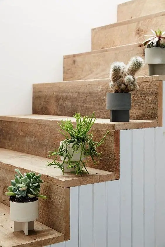 -Plantas-en-la-escalera-Por-quÇ-no